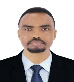 أ.د. محمد عبدالله محمود